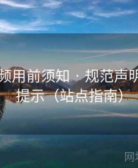 新91视频用前须知 · 规范声明与温馨提示（站点指南）