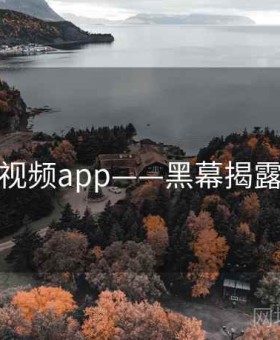 探花视频app——黑幕揭露档案