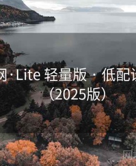 电鸽官网·Lite 轻量版 · 低配设备友好（2025版）