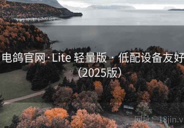 电鸽官网·Lite 轻量版 · 低配设备友好（2025版）