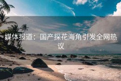 媒体报道：国产探花海角引发全网热议