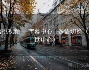 蜜桃视频 — 字幕中心—多语切换（帮助中心）