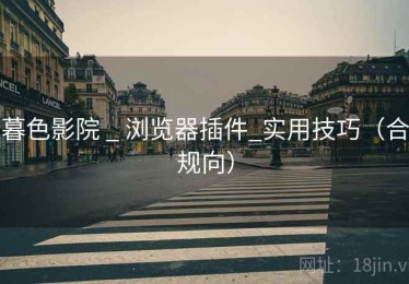 暮色影院 _ 浏览器插件_实用技巧(合规向) 暮色影院 _ 浏览器插件_实用技巧(合规向)