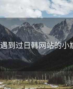 谁没遇到过日韩网站的小尴尬？