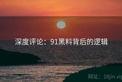 深度评论：91黑料背后的逻辑