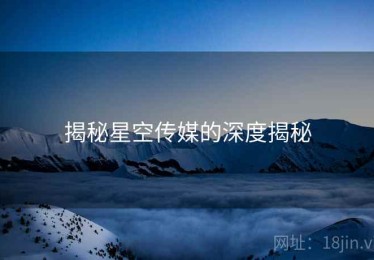 揭秘星空传媒的深度揭秘 揭秘星空传媒的深度揭秘