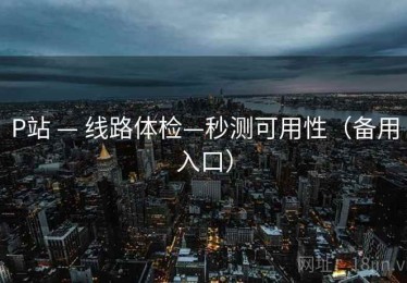P站 — 线路体检—秒测可用性(备用入口) P站 — 线路体检—秒测可用性(备用入口)