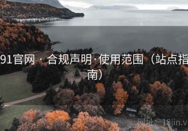 91官网 · 合规声明·使用范围（站点指南）