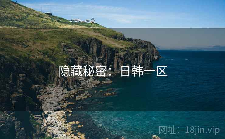 隐藏秘密：日韩一区