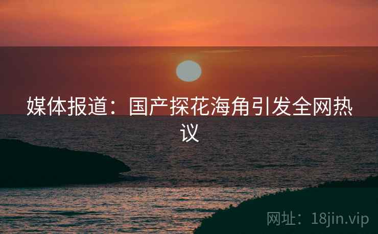 媒体报道：国产探花海角引发全网热议