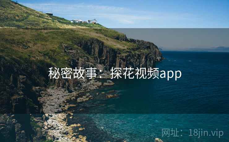 秘密故事：探花视频app