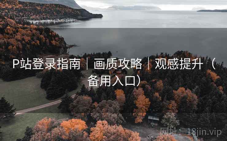 P站登录指南|画质攻略|观感提升(备用入口) P站登录指南|画质攻略|观感提升(备用入口)